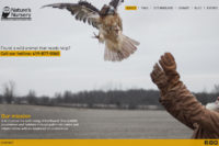 Nature's Nursery website design